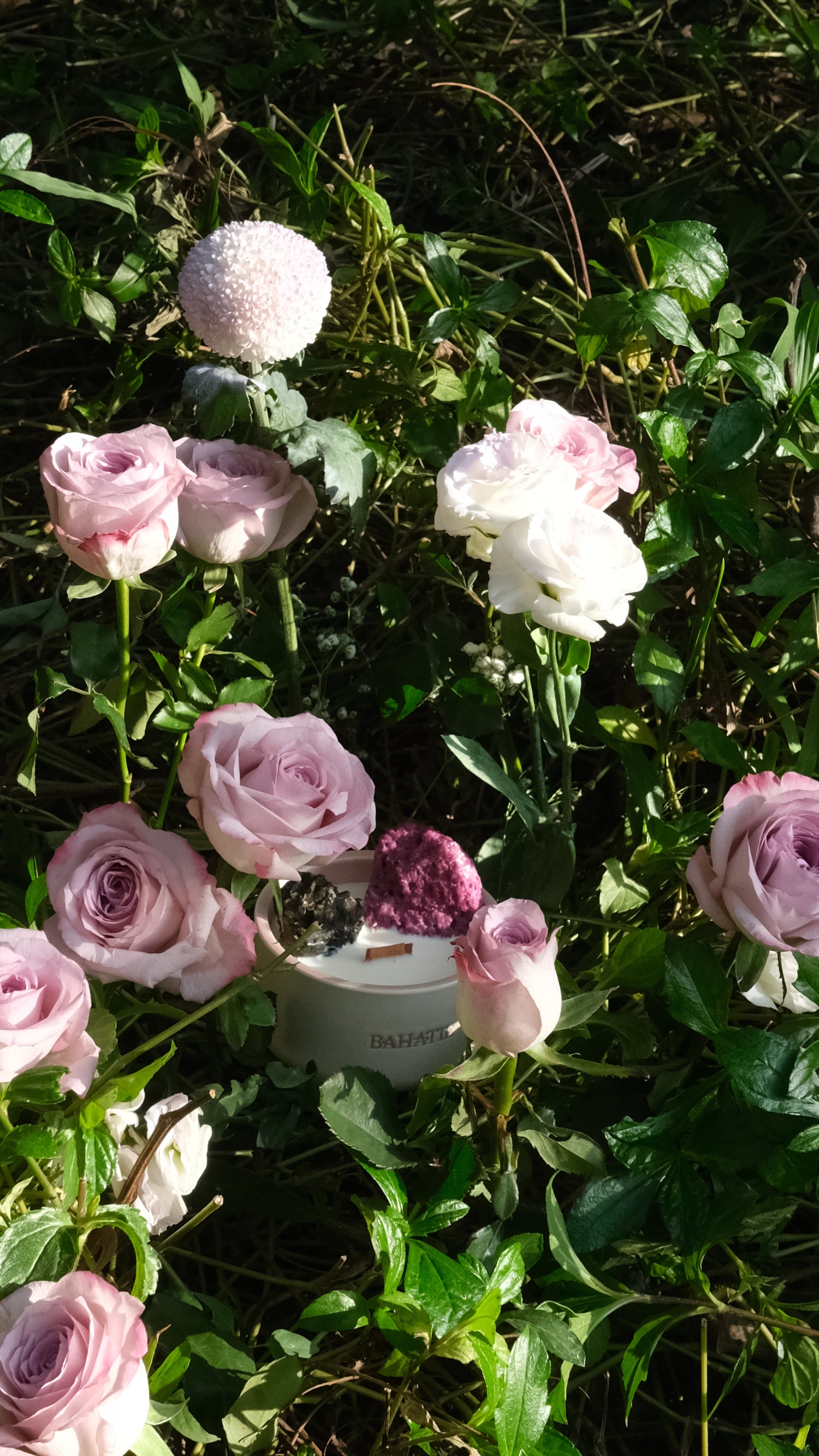 Healing the Root Chakra and Beyond: A Journey Through Chakra Energy and Yoga